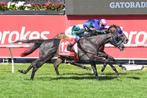 RACING GODS TURN GLOOM INTO SUNSHINE